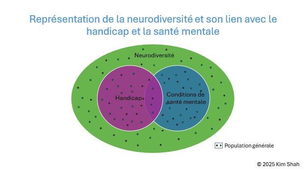 Figure 4 : Cette figure approfondit les liens entre la neurodiversité, le handicap et la santé mentale. Elle met en évidence les zones de chevauchement et les distinctions entre ces concepts, clarifiant ainsi leurs interrelations. Les petits points, représentant la population générale, sont dispersés à travers le diagramme pour illustrer la diversité des expériences et des identités.