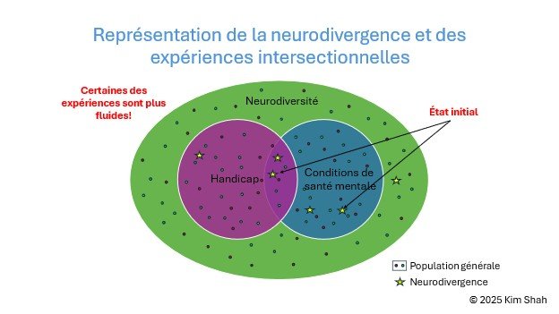 Figure 5 : Cette figure, conjointement avec les Figures 6 et 7, explore différents aspects des expériences intersectionnelles des personnes neurodivergentes. Elle illustre comment divers facteurs, tels que les influences sociales et environnementales, interagissent avec la neurodivergence et influencent la manière dont ces individus naviguent à travers leur vie personnelle et professionnelle.