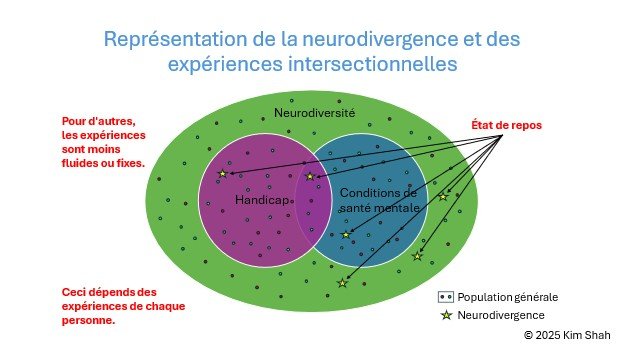 Figure 8 : Voici une version révisée pour plus de fluidité et un ton plus formel :Cette figure illustre des expériences intersectionnelles moins dynamiques, ce qui se traduit par un impact réduit sur certaines personnes neurodivergentes.