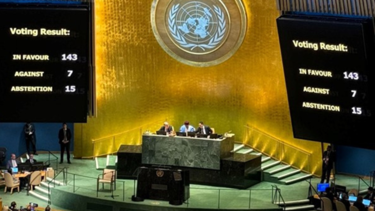 UN Summit of the Future 2024 - ION Neurodiversity
